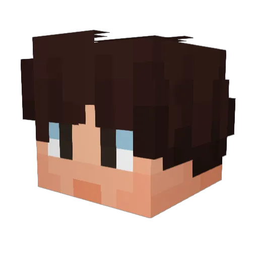 ChaoticRaccoons Minecraft avatar head, 3D render