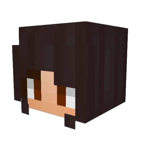 ChaoticSmile Minecraft avatar head, 3D render