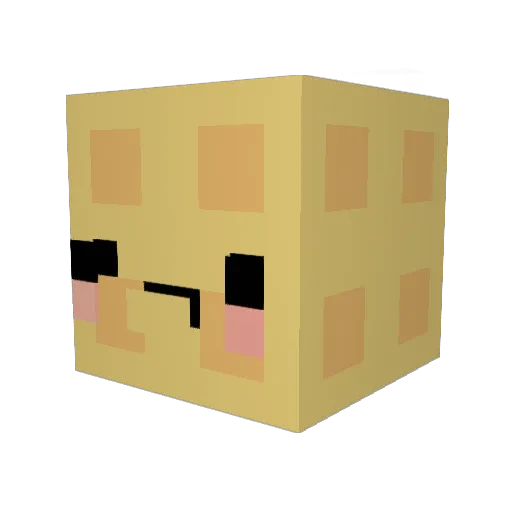 ChaoticWafflez Minecraft avatar head, 3D render