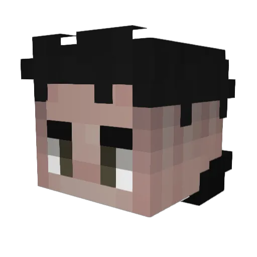 ChaoticWild Minecraft avatar head, 3D render