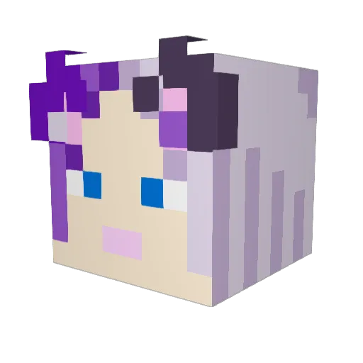 Chaotic_5ky Minecraft avatar head, 3D render