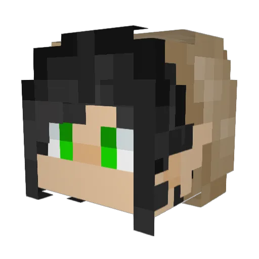 Chaotic_Druid Minecraft avatar head, 3D render