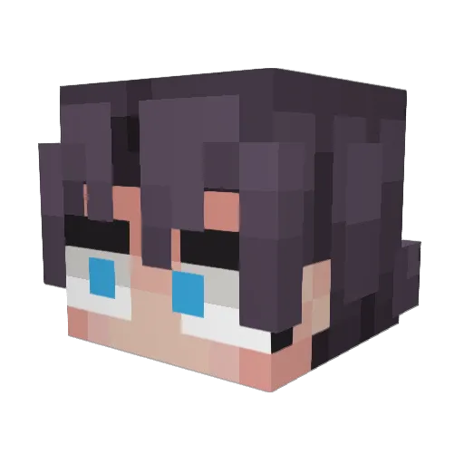 Chaotic_Jink Minecraft avatar head, 3D render