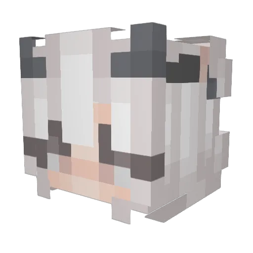 Chaoticshade Minecraft avatar head, 3D render