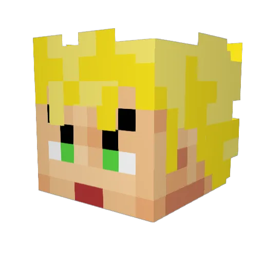 Chaoticwave Minecraft avatar head, 3D render