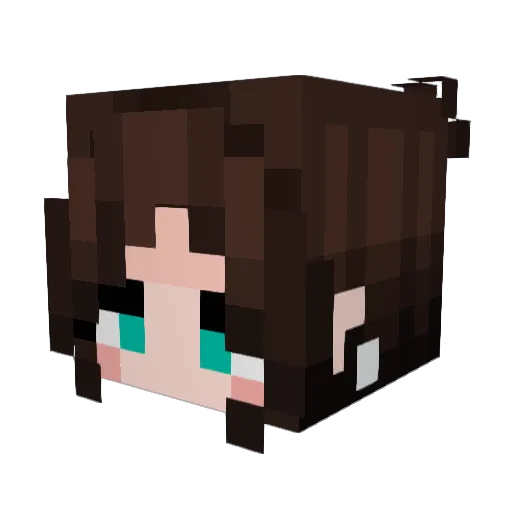 Chaotiqueee Minecraft avatar head, 3D render