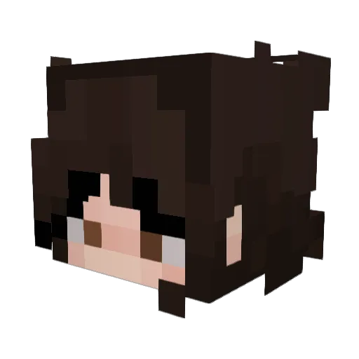 Chaozin Minecraft avatar head, 3D render