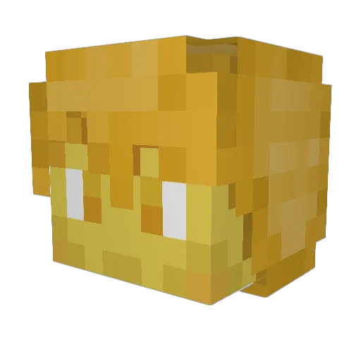 Chap3221 Minecraft avatar head, 3D render