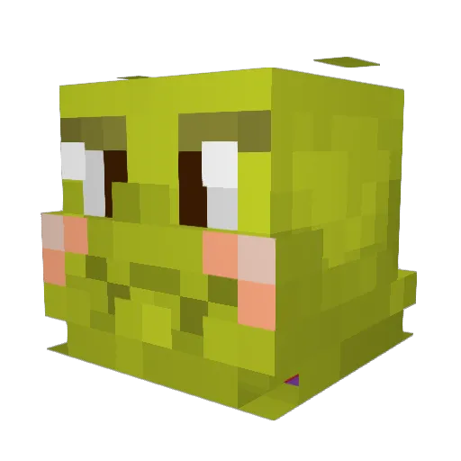 ChapaNathan Minecraft avatar head, 3D render
