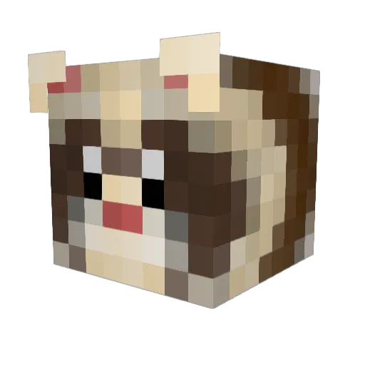 Chapadopolous Minecraft avatar head, 3D render