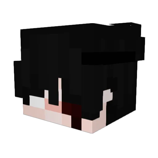 Chapadow Minecraft avatar head, 3D render