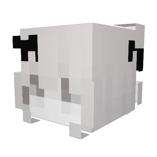 ChapatiGamer Minecraft avatar head, 3D render