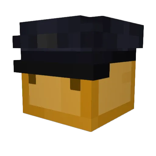 Chapee Minecraft avatar head, 3D render