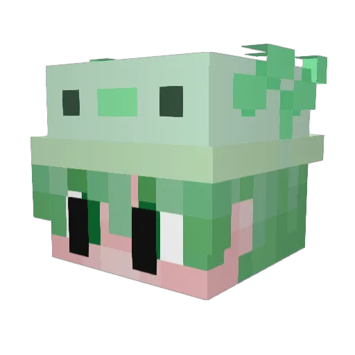 ChapellFall77 Minecraft avatar head, 3D render
