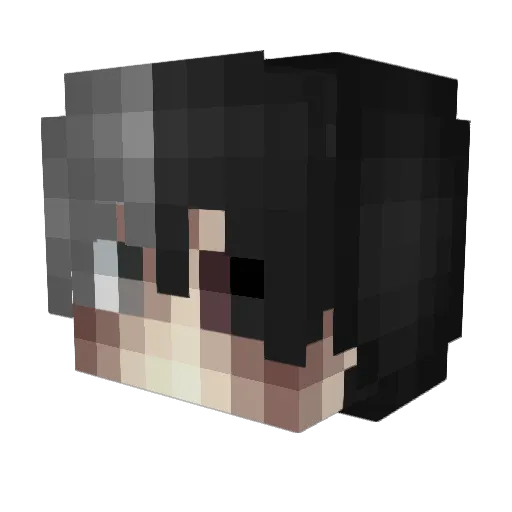 Chapo95 Minecraft avatar head, 3D render