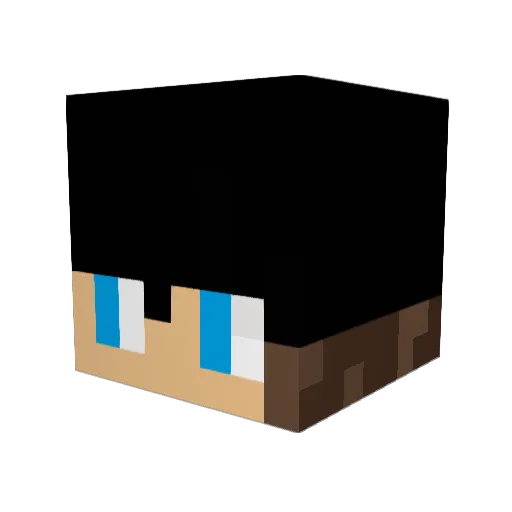 Chapookie Minecraft avatar head, 3D render