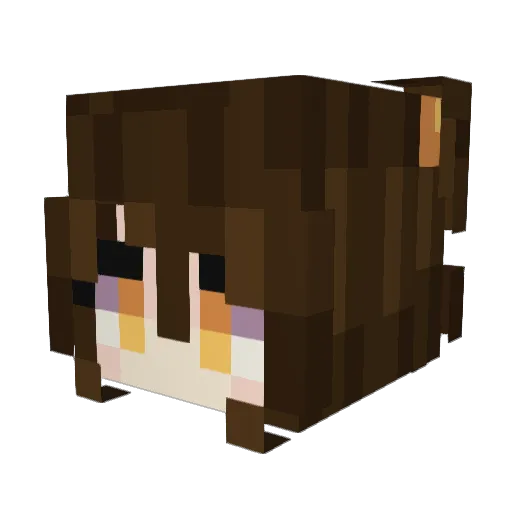 Chapstick6 Minecraft avatar head, 3D render