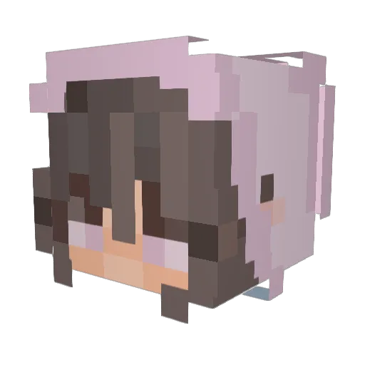 Char3333 Minecraft avatar head, 3D render