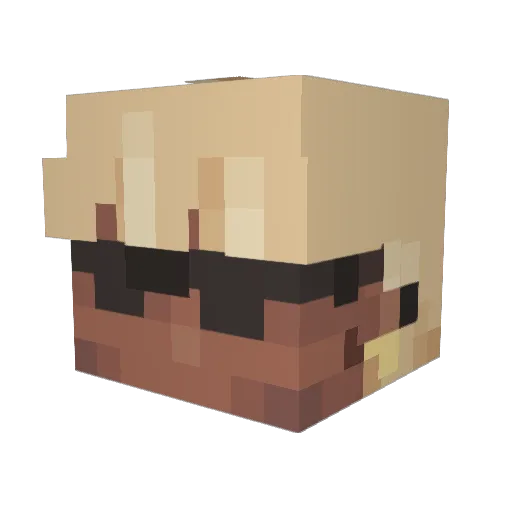 CharBear5 Minecraft avatar head, 3D render