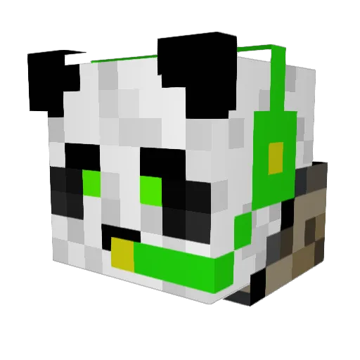 CharCharBBR Minecraft avatar head, 3D render