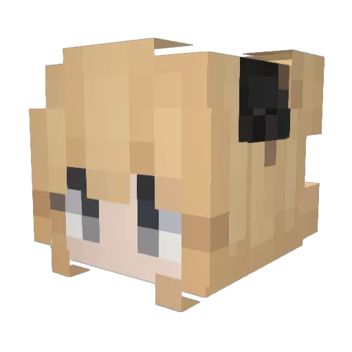 Chara219404 Minecraft avatar head, 3D render