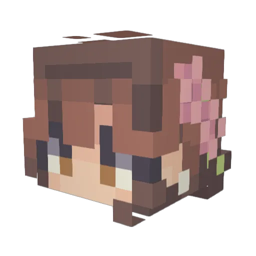CharaTFFC Minecraft avatar head, 3D render