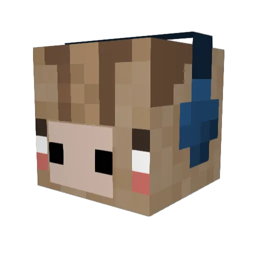 Charbulbapik Minecraft avatar head, 3D render