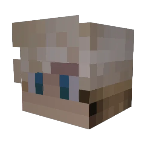 Charc_ Minecraft avatar head, 3D render