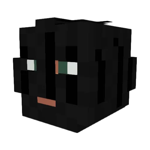 Charchett08 Minecraft avatar head, 3D render