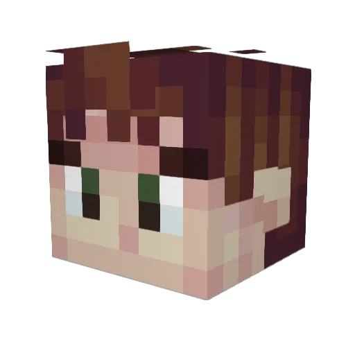 CharcoaI Minecraft avatar head, 3D render