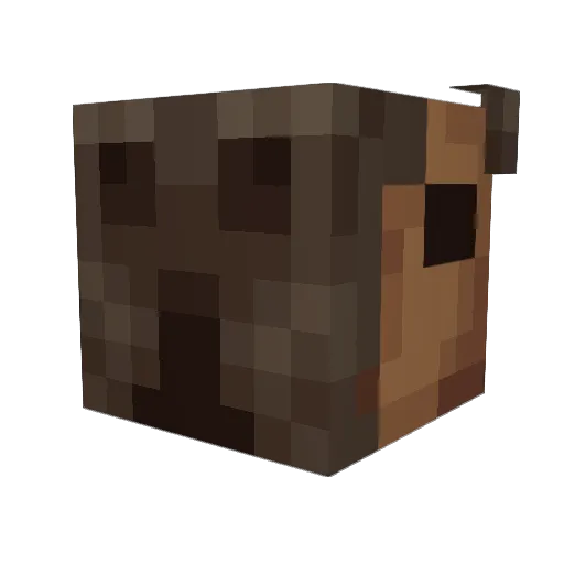 Charcole_ Minecraft avatar head, 3D render