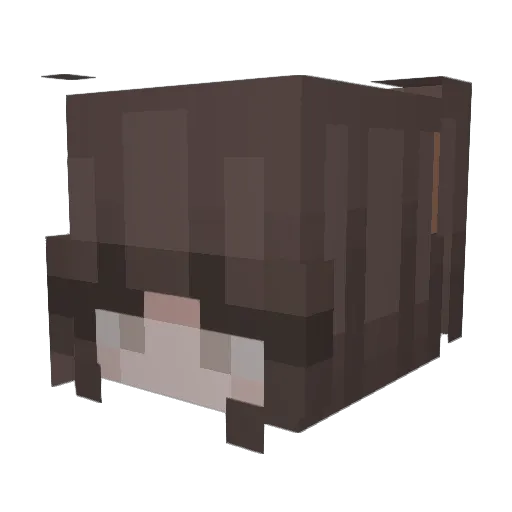 Chardani33 Minecraft avatar head, 3D render
