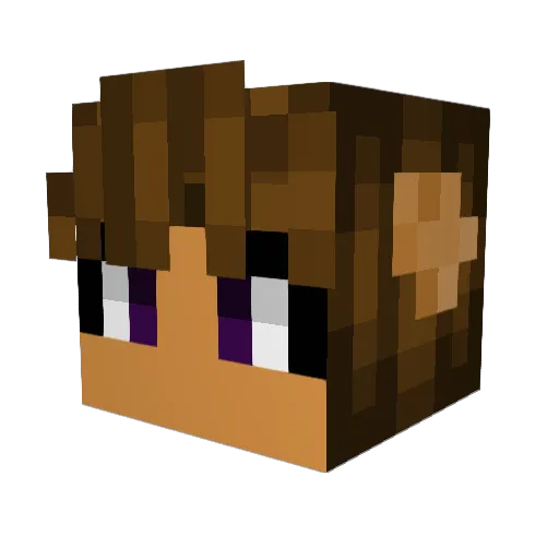 Chardcastle888 Minecraft avatar head, 3D render