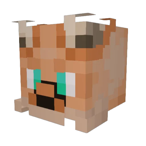 CharedCoal Minecraft avatar head, 3D render