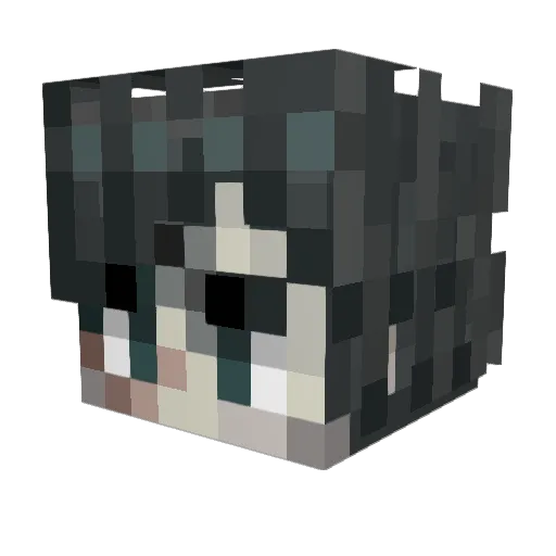 Charesy14 Minecraft avatar head, 3D render