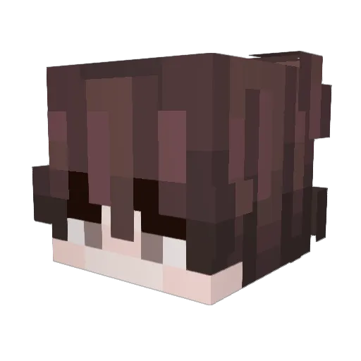 Charg3rpt1 Minecraft avatar head, 3D render