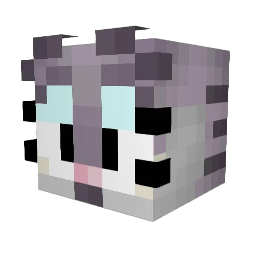 Charge_Spades Minecraft avatar head, 3D render