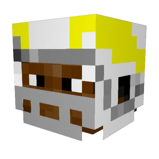 ChargerDude1234 Minecraft avatar head, 3D render