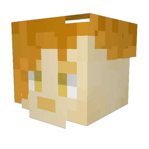 Chari1y Minecraft avatar head, 3D render
