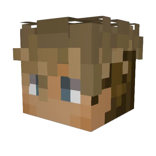 Chari_Hwani Minecraft avatar head, 3D render