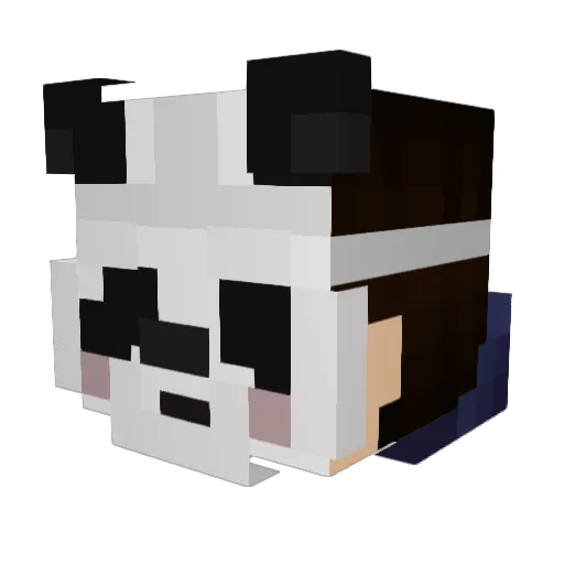 ChariceLee Minecraft avatar head, 3D render