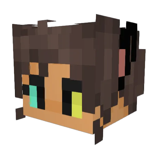 ChariotN Minecraft avatar head, 3D render