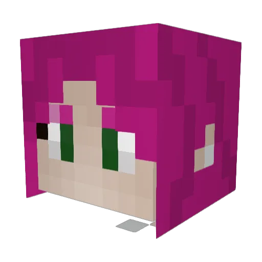 CharityCodes Minecraft avatar head, 3D render