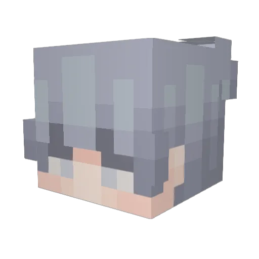CharizardPl4z Minecraft avatar head, 3D render