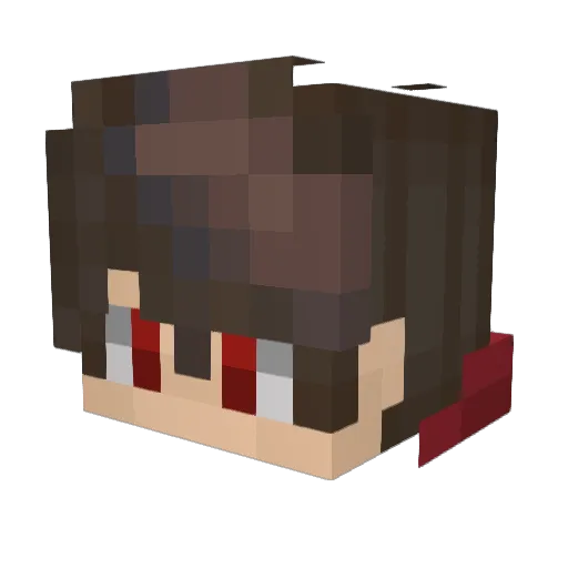 Charizard_431 Minecraft avatar head, 3D render