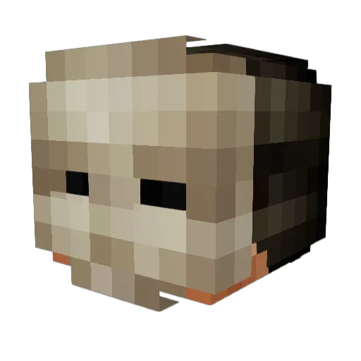 Charl123 Minecraft avatar head, 3D render