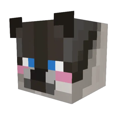 CharleePlays Minecraft avatar head, 3D render