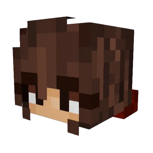 CharleighS2 Minecraft avatar head, 3D render