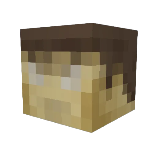 CharlesHarrison Minecraft avatar head, 3D render