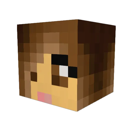 CharlesTWT Minecraft avatar head, 3D render